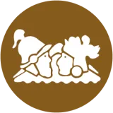 Icono de la estación Isla Raza